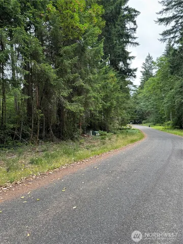 a view of backyard with green space