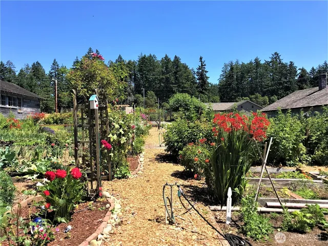 a view of a potted flower in a yard with swimming pool