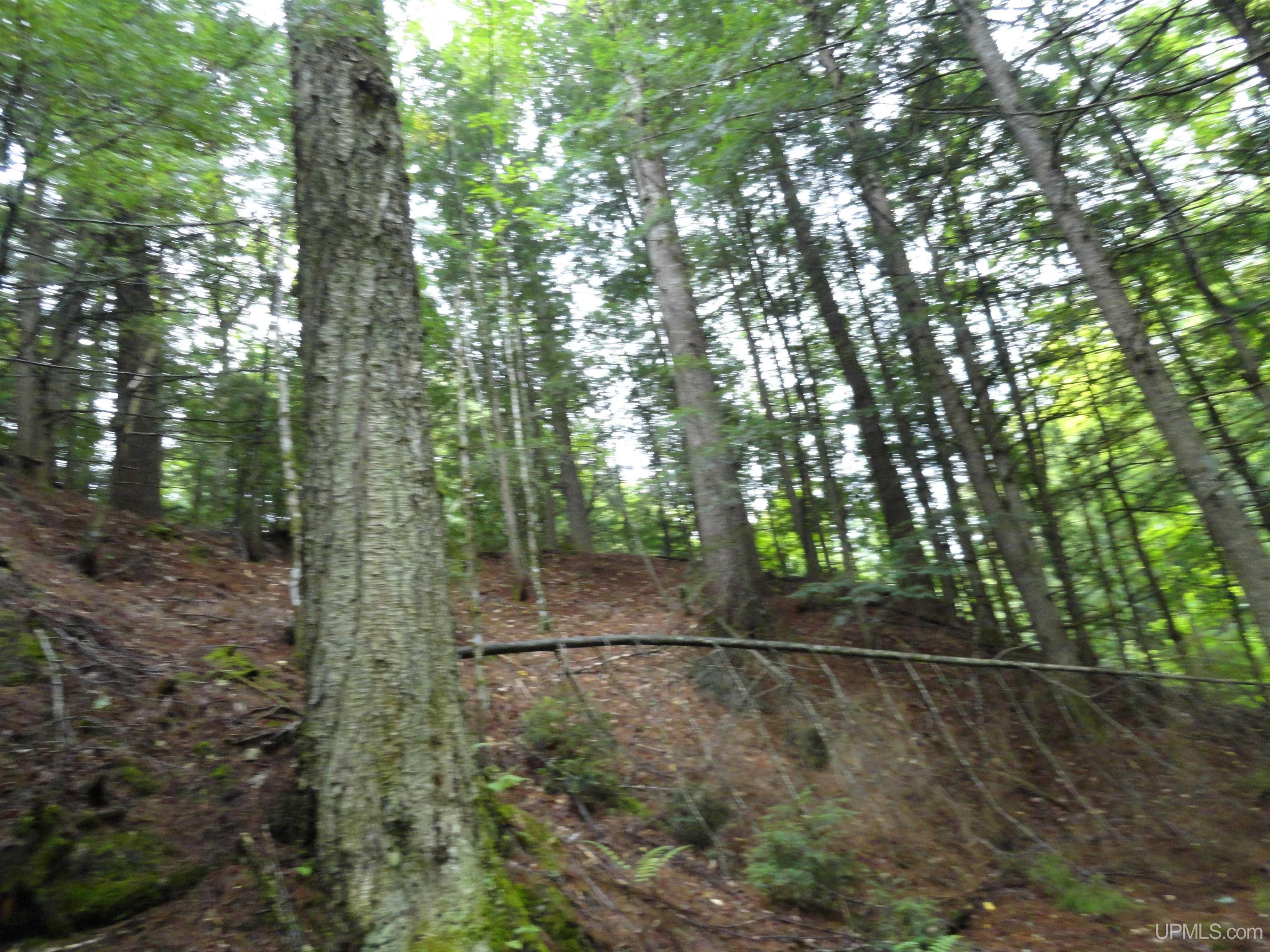 Tbd Tbd Lost Creek Road Ishpeming, MI 49849 - Photo 36 of 36
