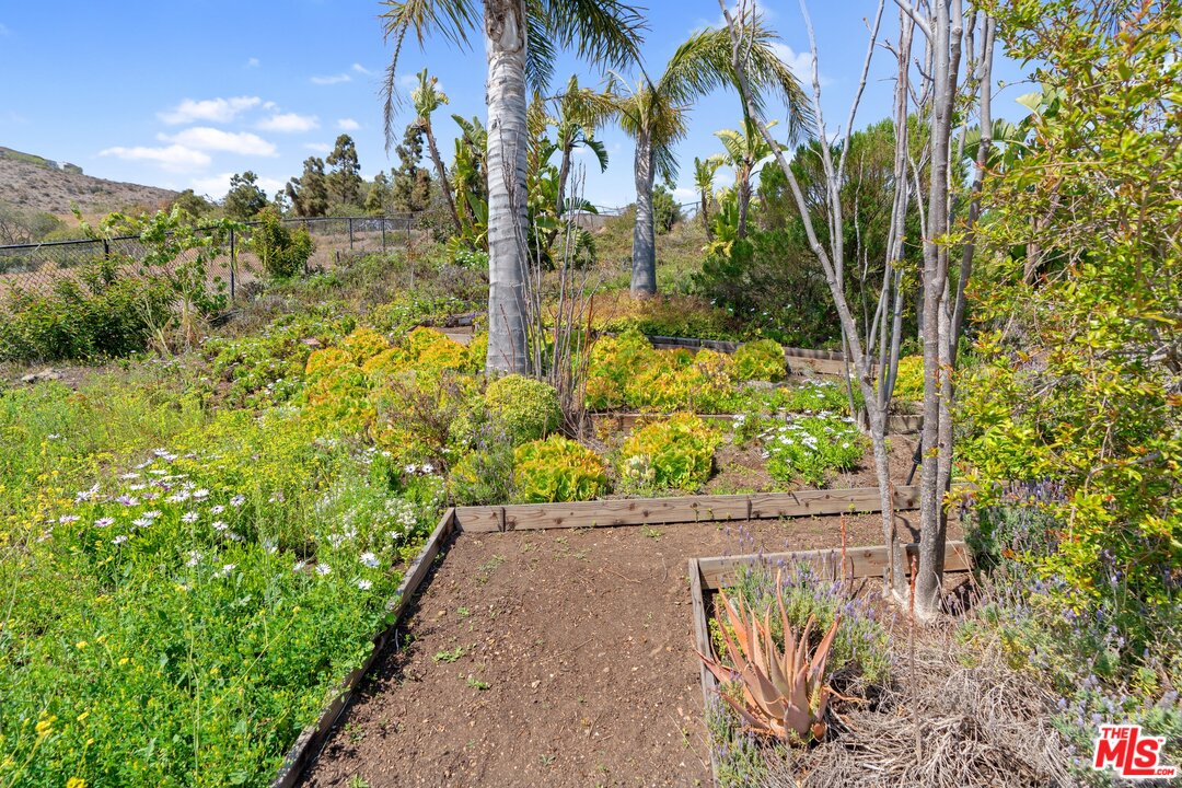 31131 Bailard Road Malibu, CA 90265 - Photo 41 of 44