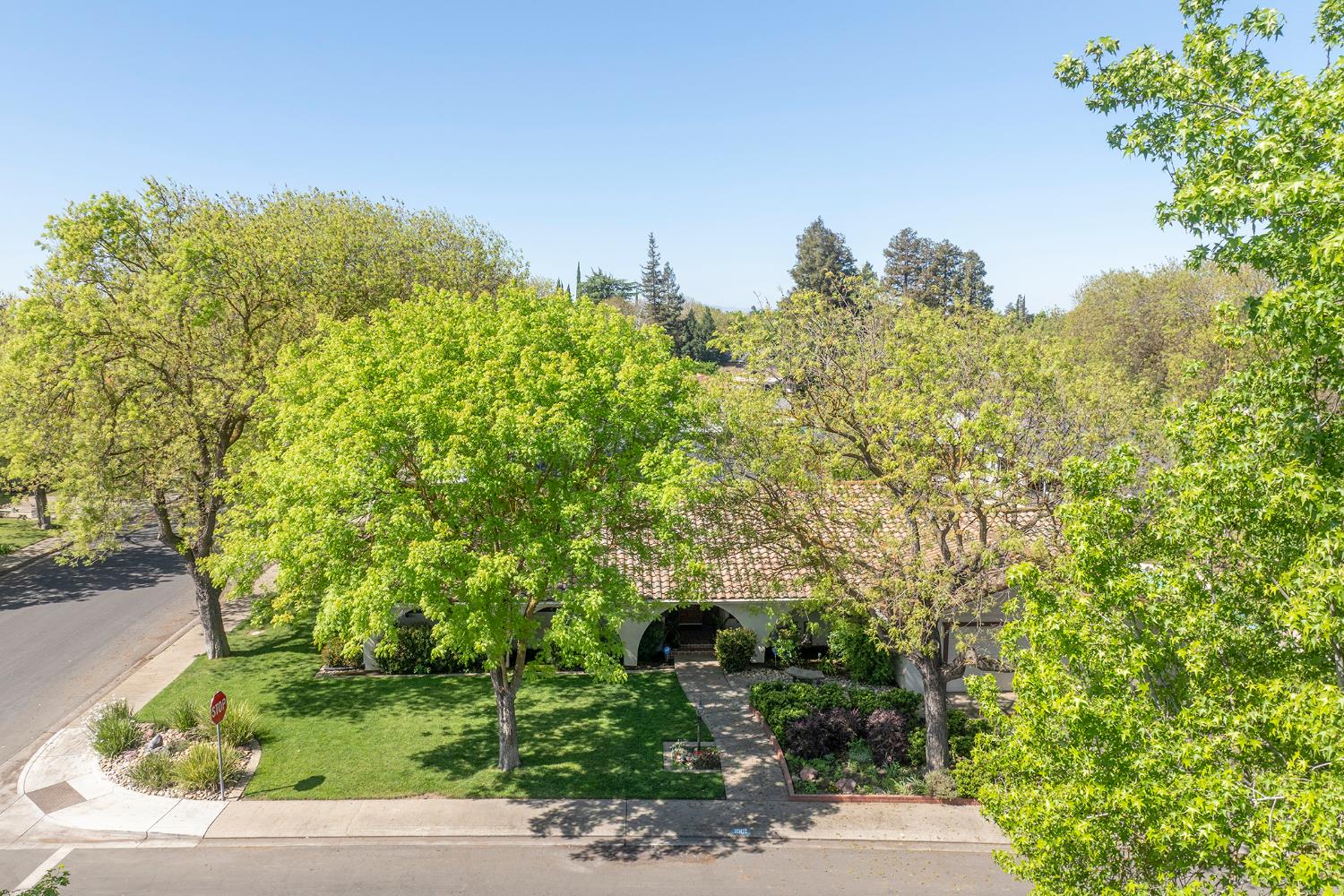 1001 Winsted Lane Modesto, CA 95355 - Photo 2 of 45 a view of a garden with a tree