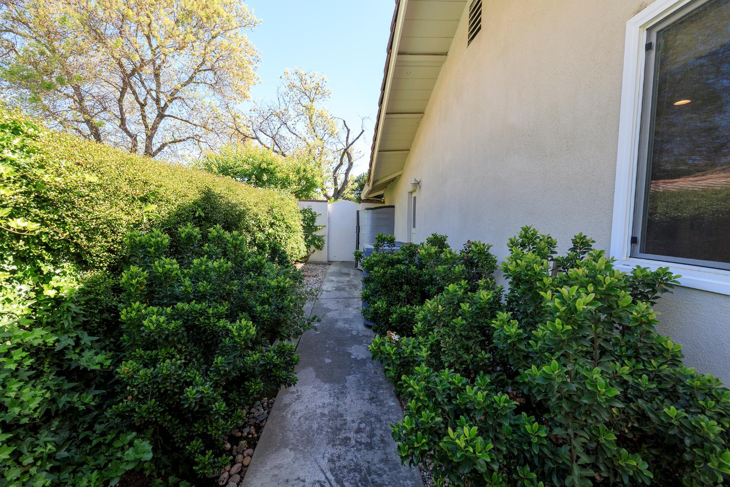 1001 Winsted Lane Modesto, CA 95355 - Photo 42 of 45 a backyard of a house with lots of green space