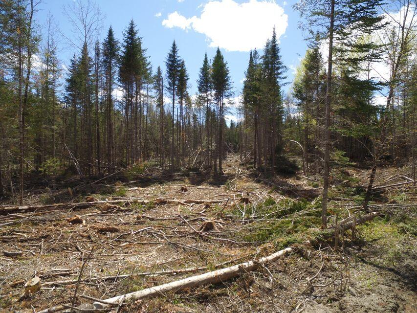 0 Old Winn Road Springfield, ME 04487 - Photo 9 of 12 MLS9