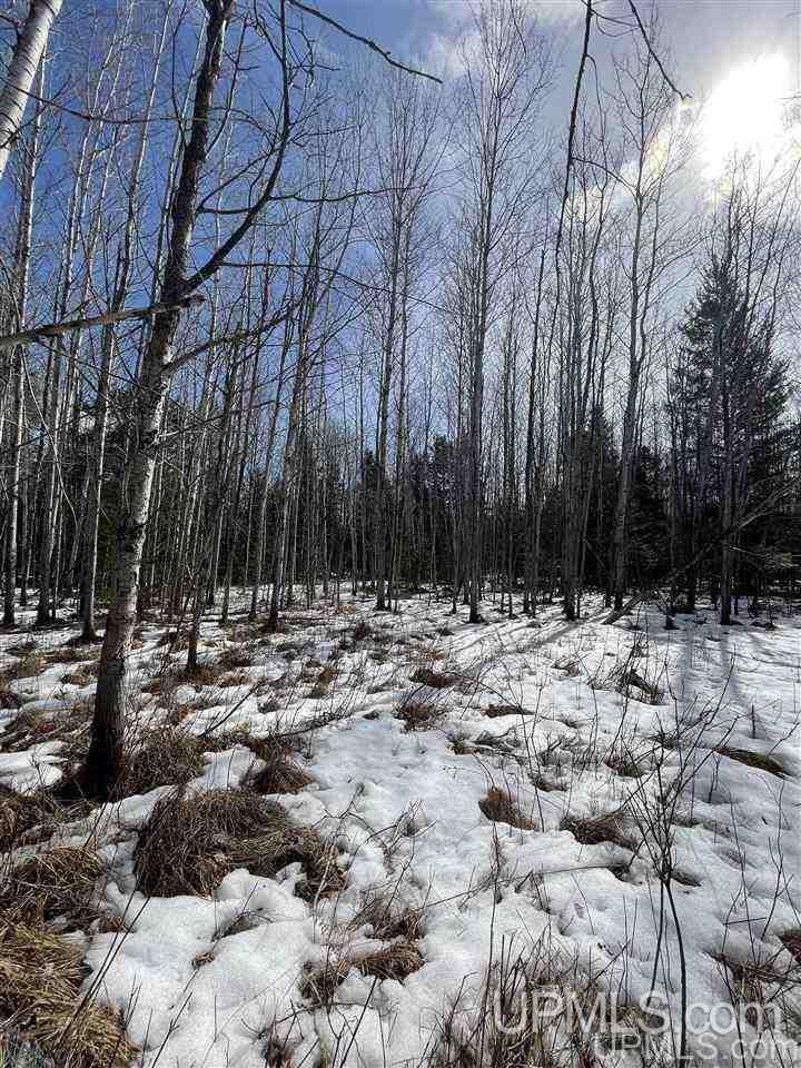 Tbd Tbd Co Road, Unit 1 Marquette, MI 49855 - Photo 33 of 50