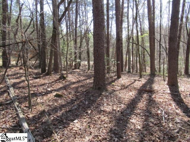 0 Pine Grove Church Road, Unit TRACT 10 Sunset, SC 29685 - Photo 3 of 21