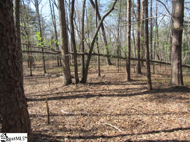 0 Pine Grove Church Road, Unit TRACT 10 Sunset, SC 29685 - Photo 8 of 21