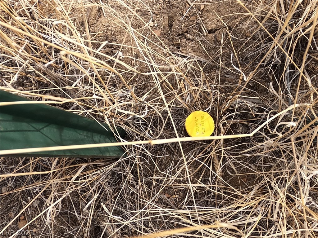 2 Willow Creek Ranch Ely, NV 89301 - Photo 16 of 26