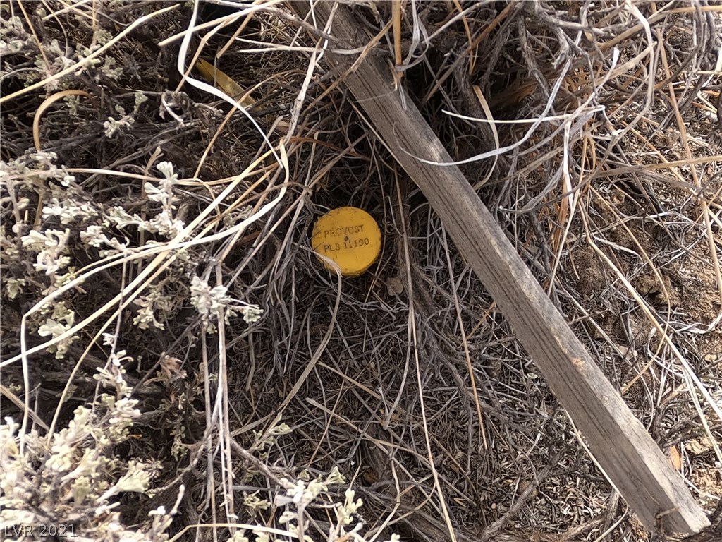 2 Willow Creek Ranch Ely, NV 89301 - Photo 6 of 26