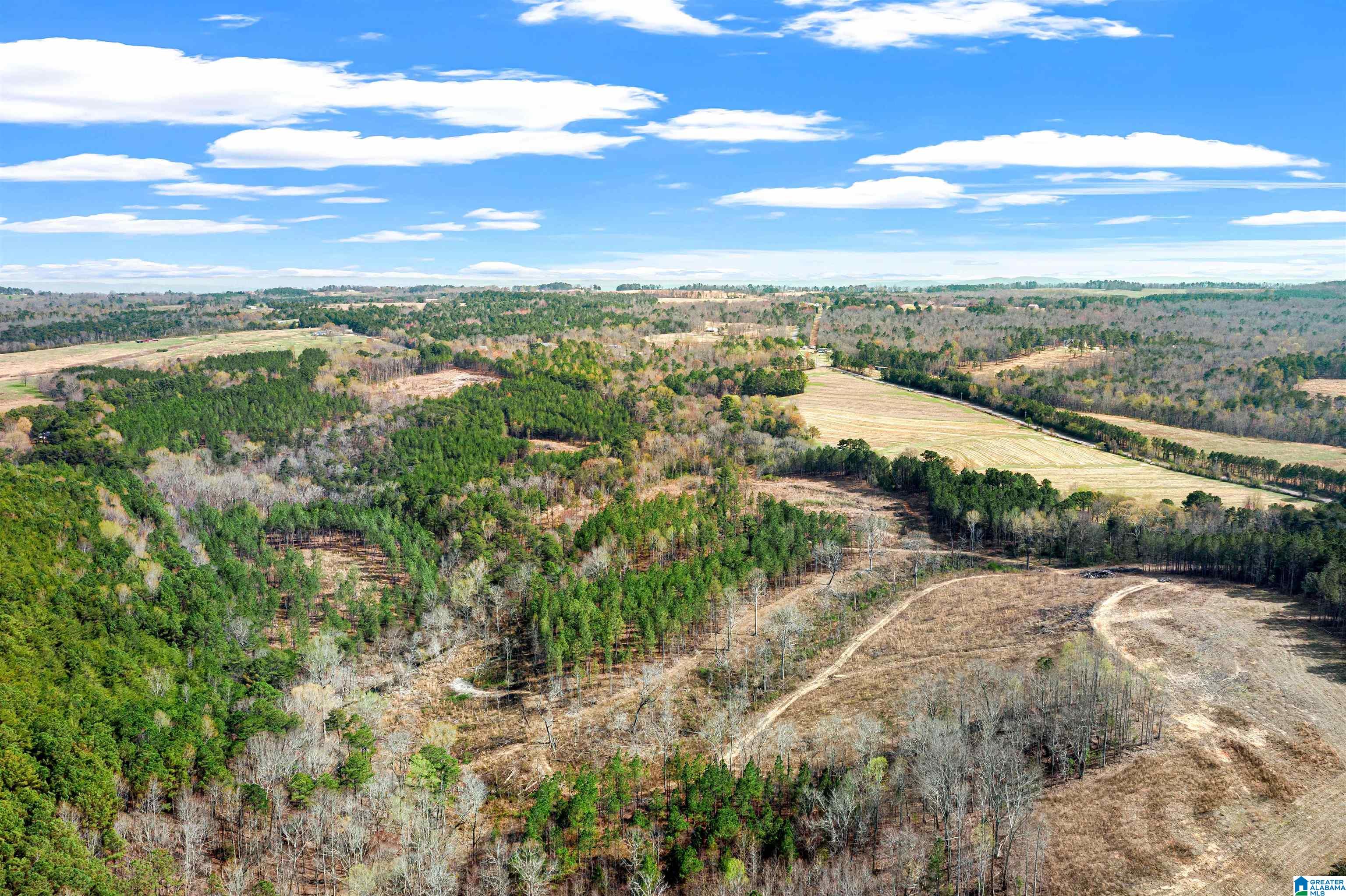 0 Frost Road, Unit 100 / ACRES Springville, AL 35146 - Photo 49 of 60