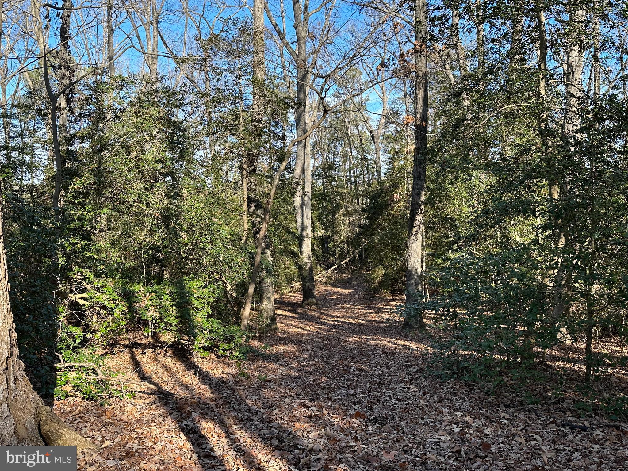 Lot 5 Paddock Drive, Unit 5 Lancaster, VA 22503 - Photo 4 of 10 Trail along property