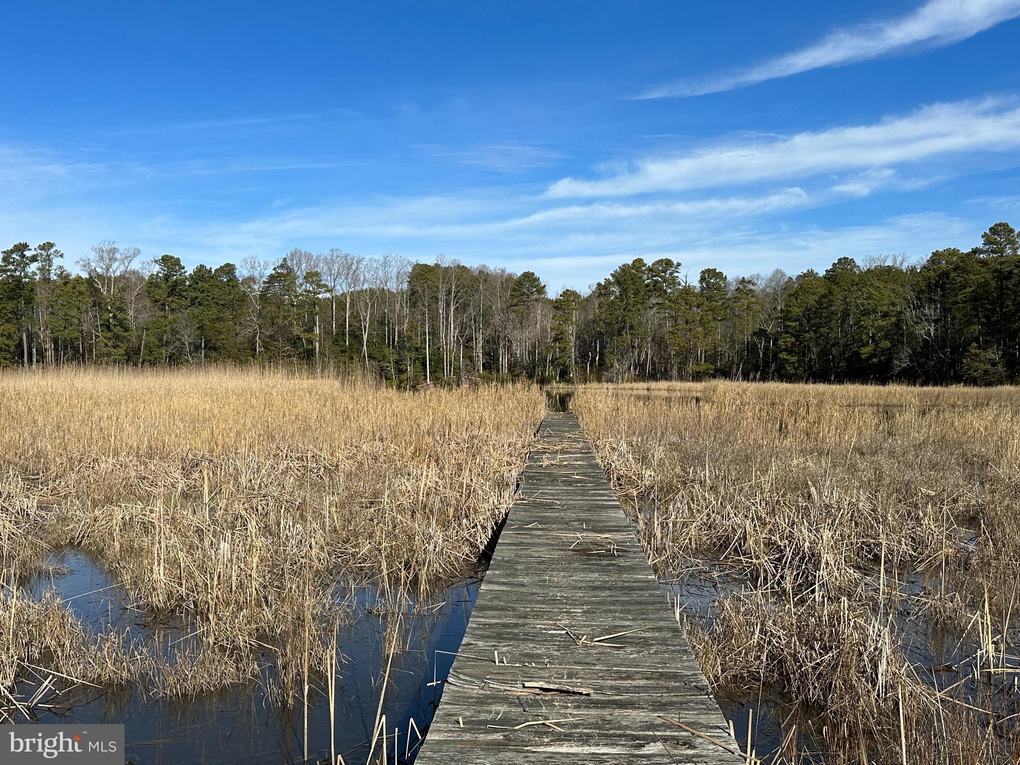 Lot 5 Paddock Drive, Unit 5 Lancaster, VA 22503 - Photo 7 of 10 Pier