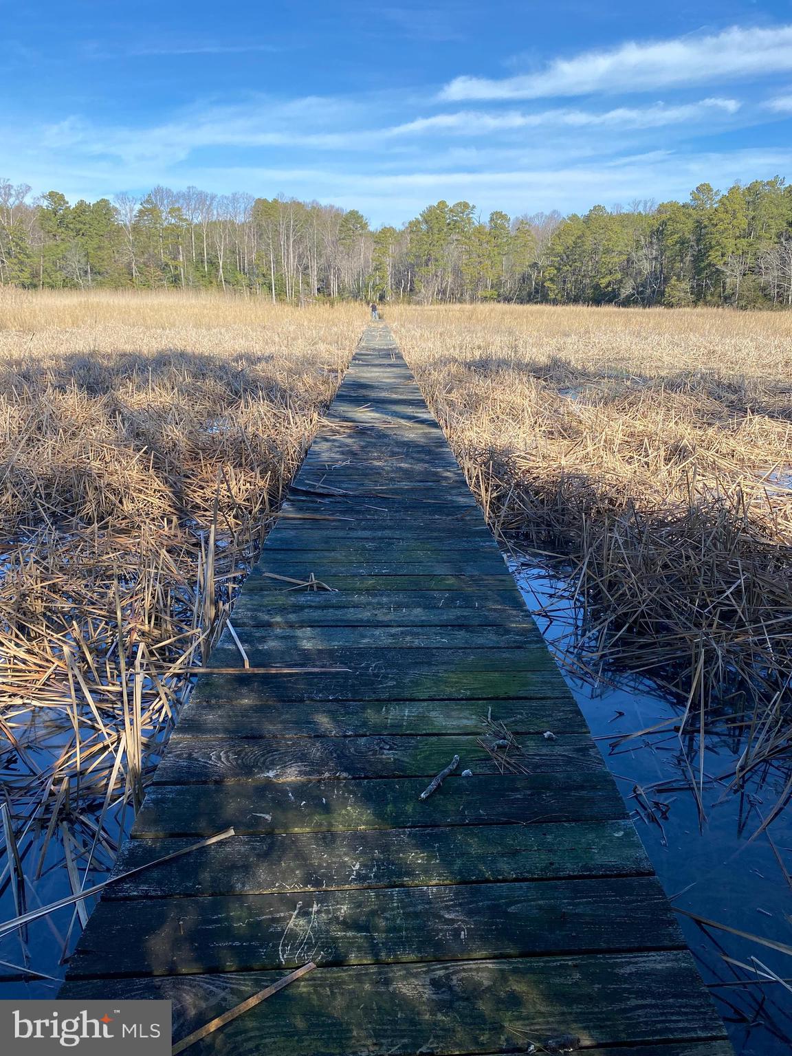Lot 5 Paddock Drive, Unit 5 Lancaster, VA 22503 - Photo 8 of 10