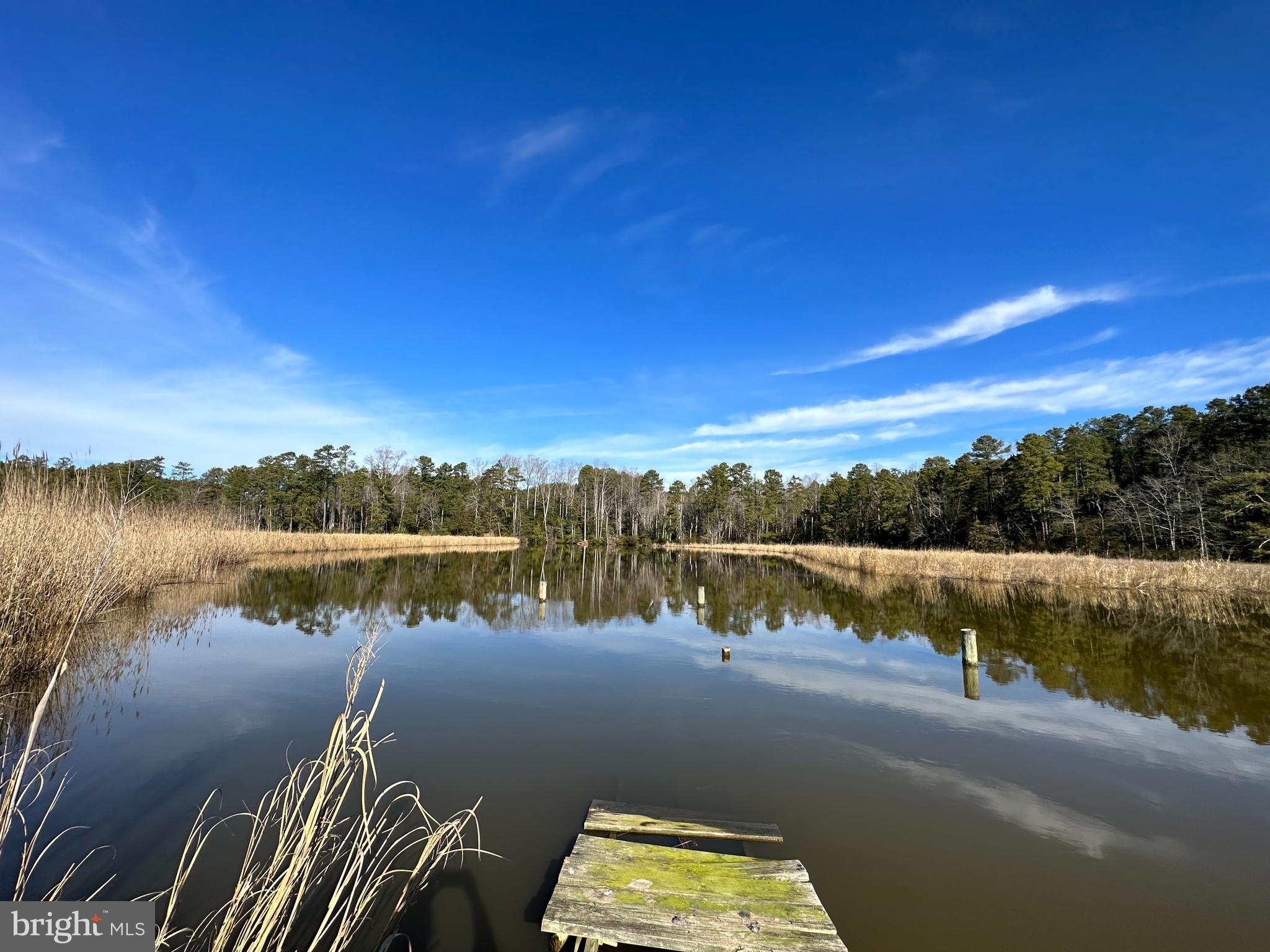 Lot 5 Paddock Drive, Unit 5 Lancaster, VA 22503 - Photo 10 of 10 Another water view from the pier