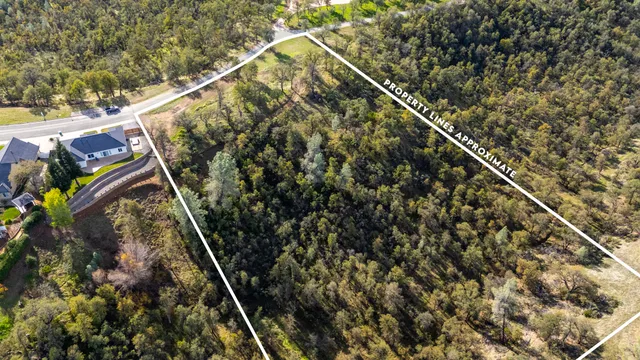 a view of a field with an trees