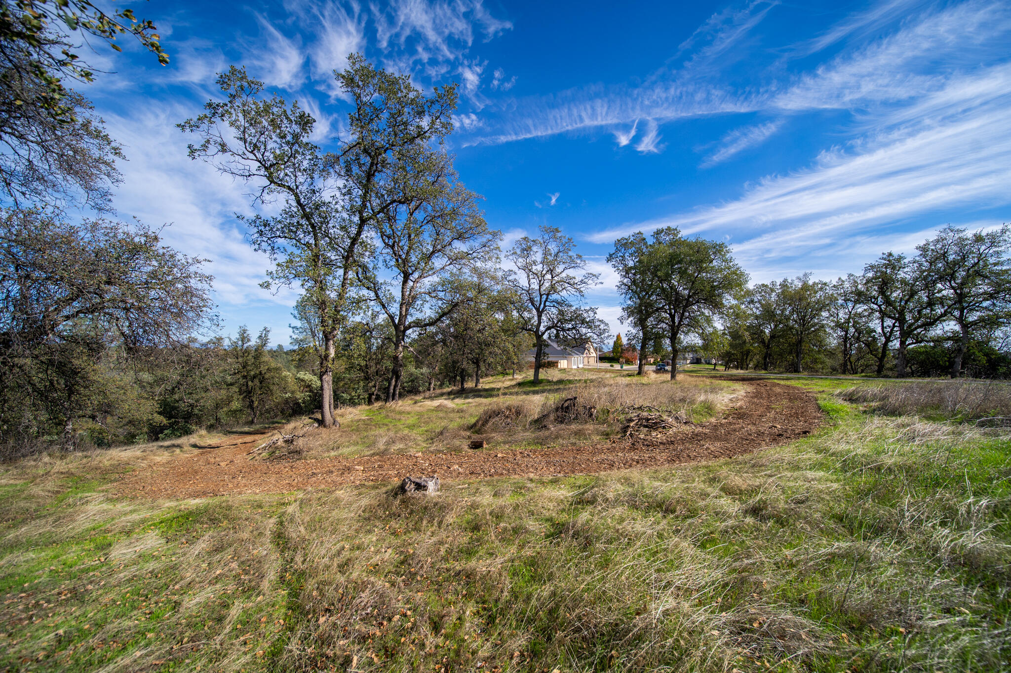 0 Weseman Road Redding, CA 96001 - Photo 12 of 21 a view of a yard with trees