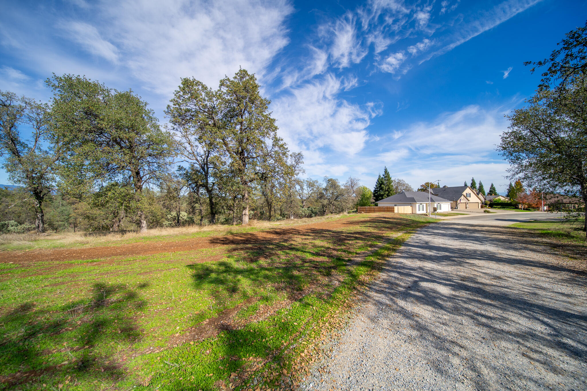 0 Weseman Road Redding, CA 96001 - Photo 13 of 21 a view of dirt yard with large trees