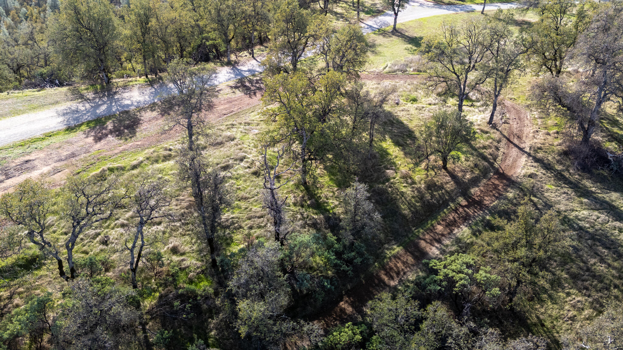 0 Weseman Road Redding, CA 96001 - Photo 21 of 21 a view of a forest