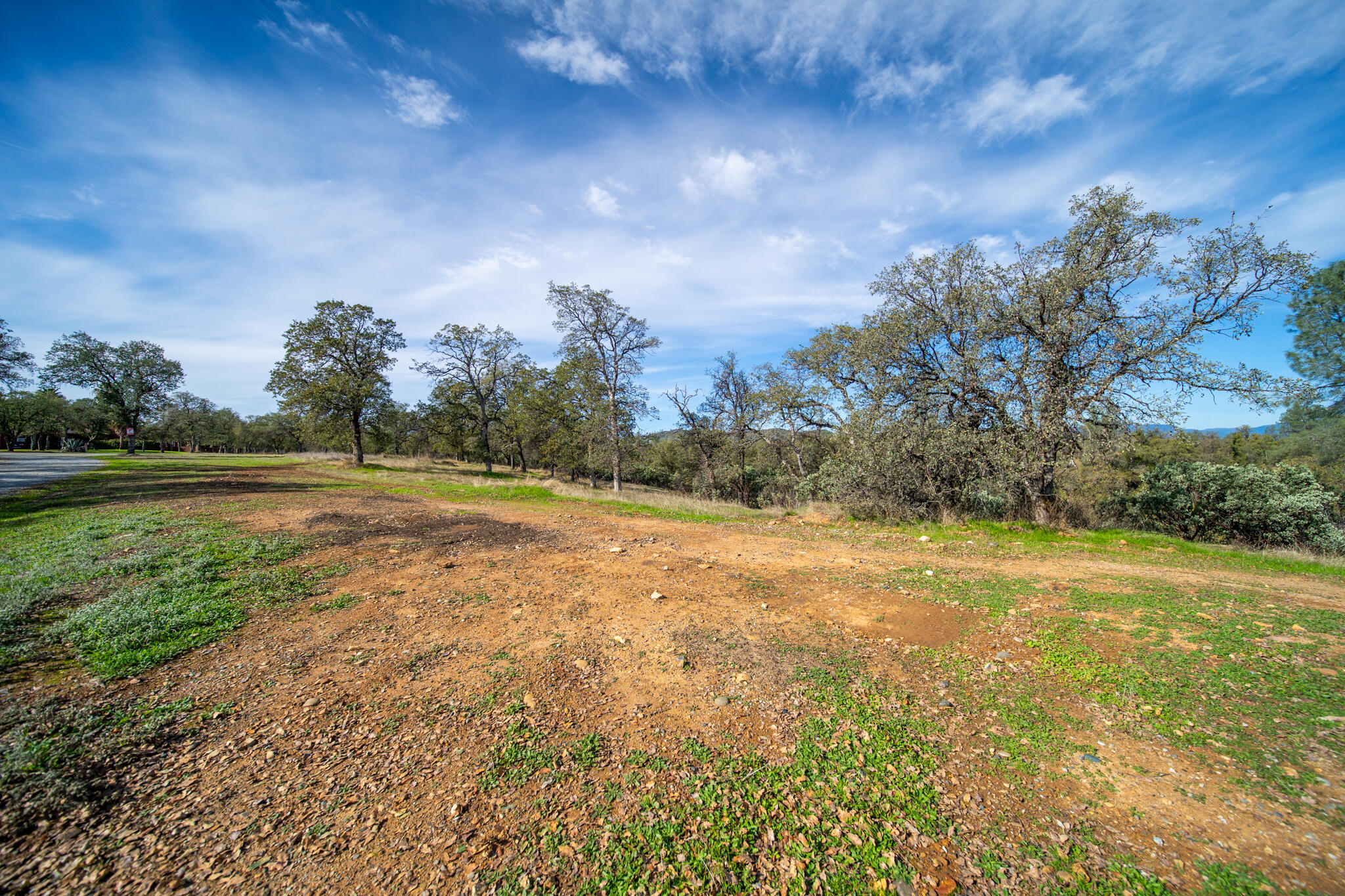 0 Weseman Road Redding, CA 96001 - Photo 4 of 21 a view of a field with an trees
