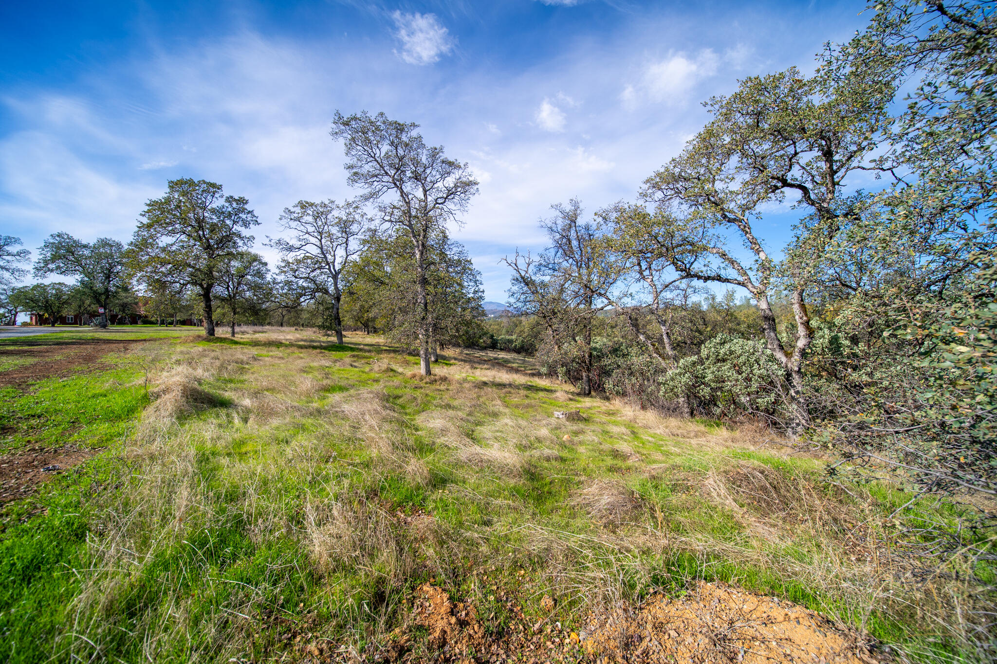0 Weseman Road Redding, CA 96001 - Photo 7 of 21 a view of yard with outdoor space