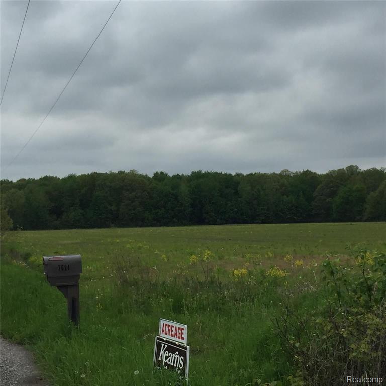 Tbd Cribbins Road Avoca, MI 48006 - Photo 5 of 5