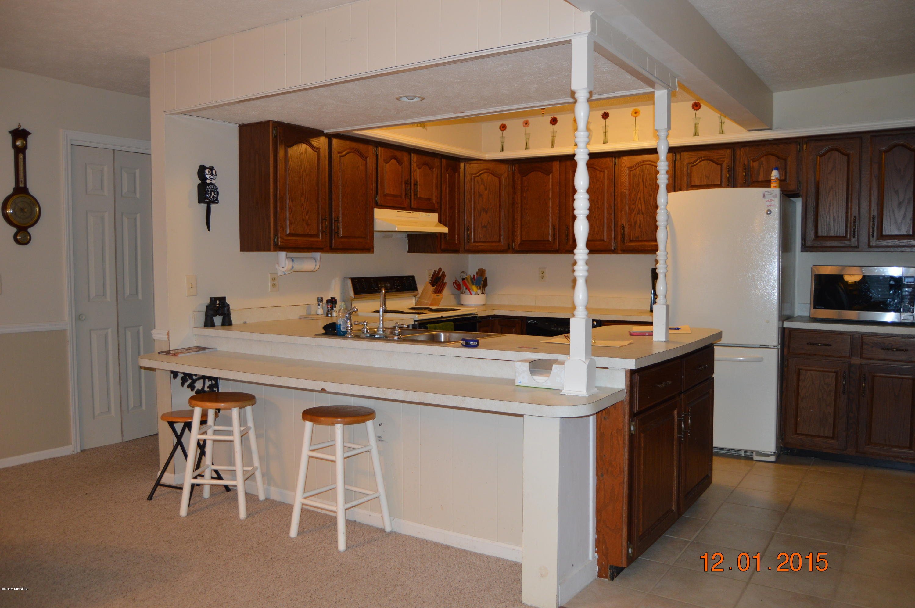 10957 Berridge Road Lakeview, MI 48850 - Photo 11 of 25 DSC_0043