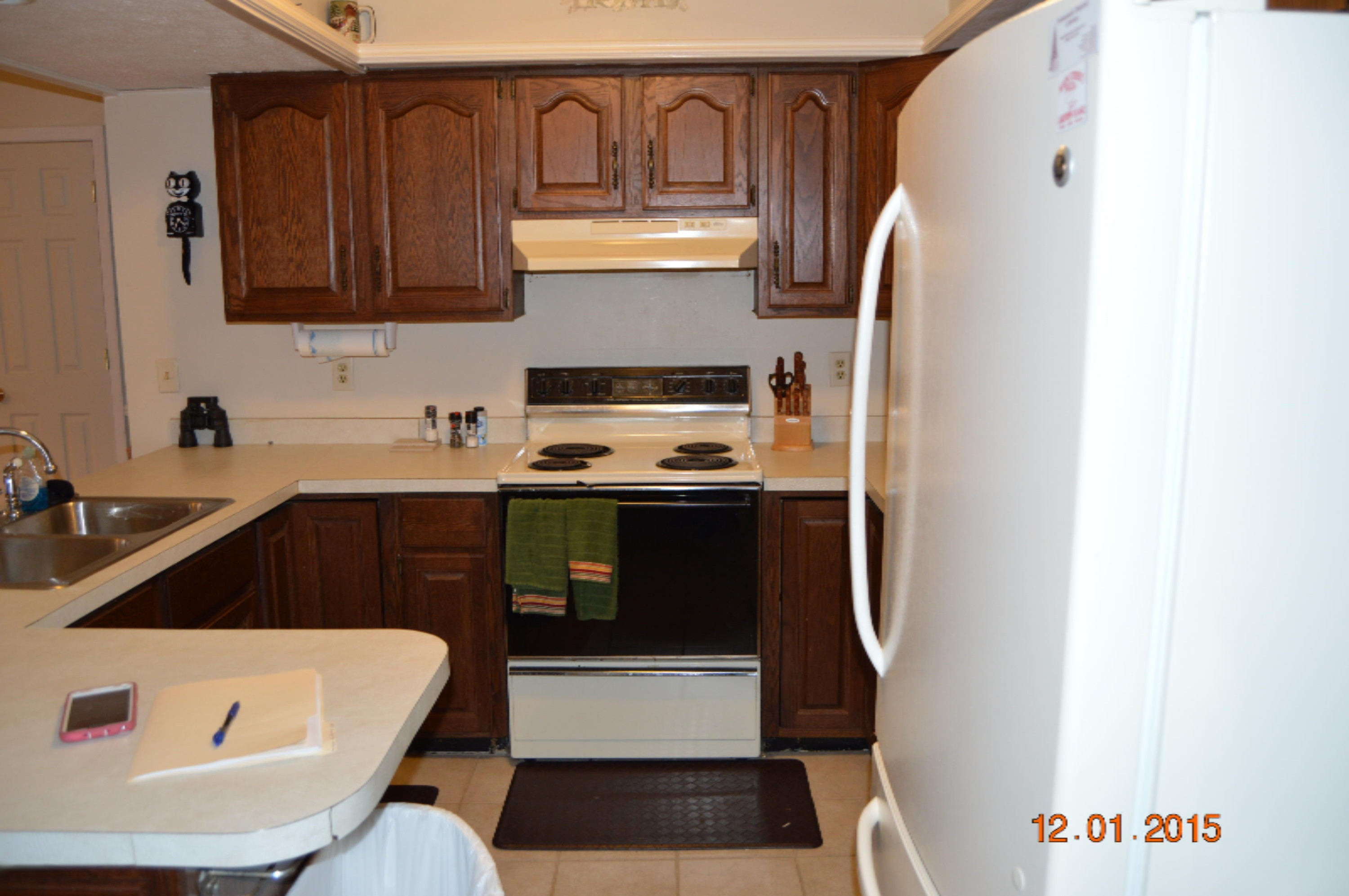 10957 Berridge Road Lakeview, MI 48850 - Photo 13 of 25 DSC_0047