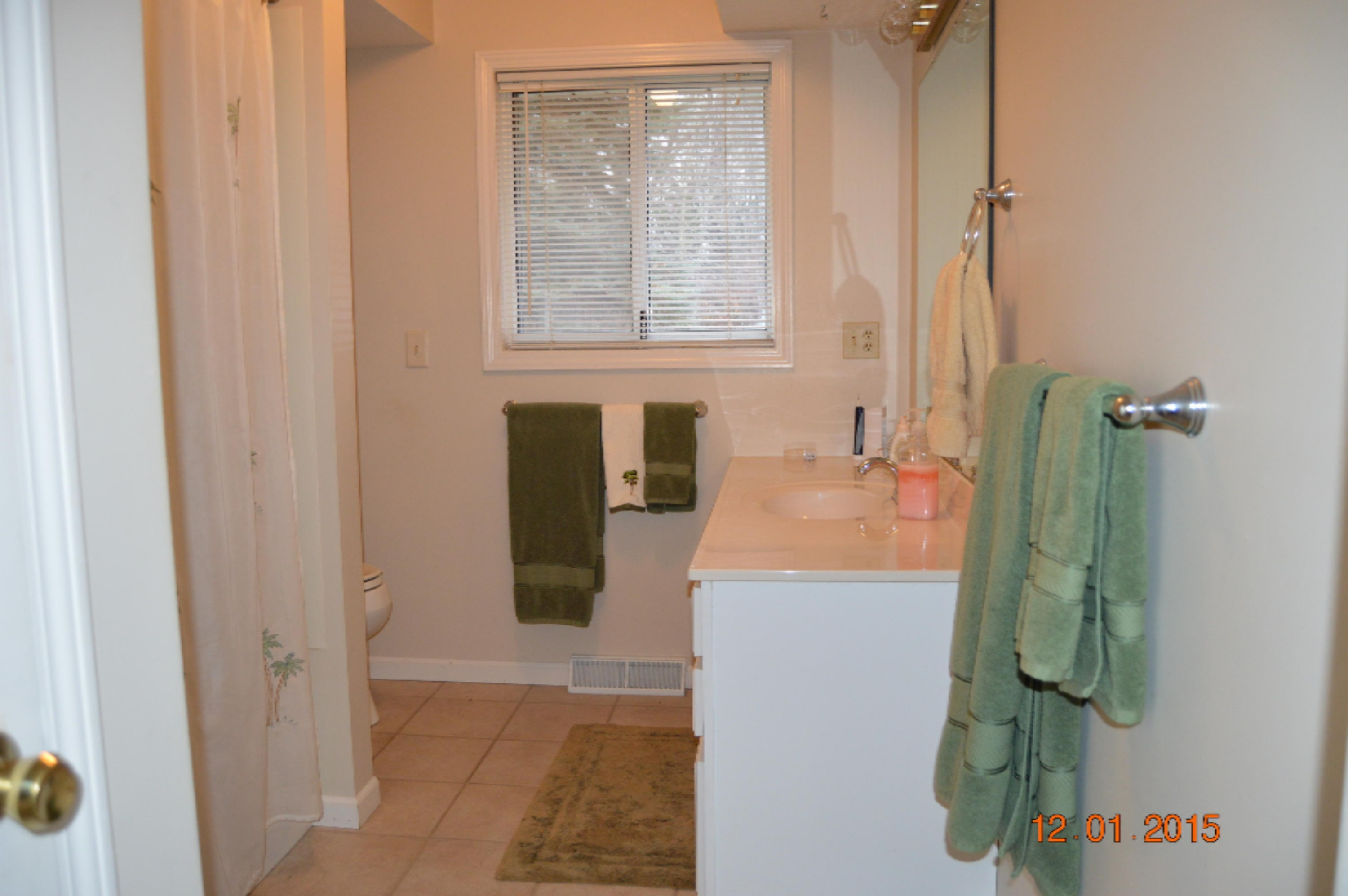 10957 Berridge Road Lakeview, MI 48850 - Photo 15 of 25 DSC_0049