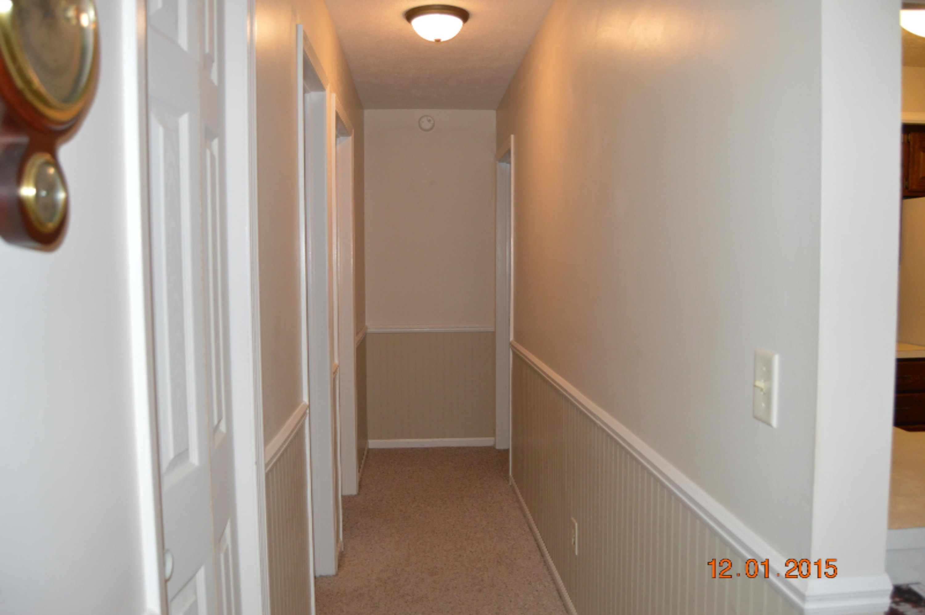 10957 Berridge Road Lakeview, MI 48850 - Photo 18 of 25 DSC_0052
