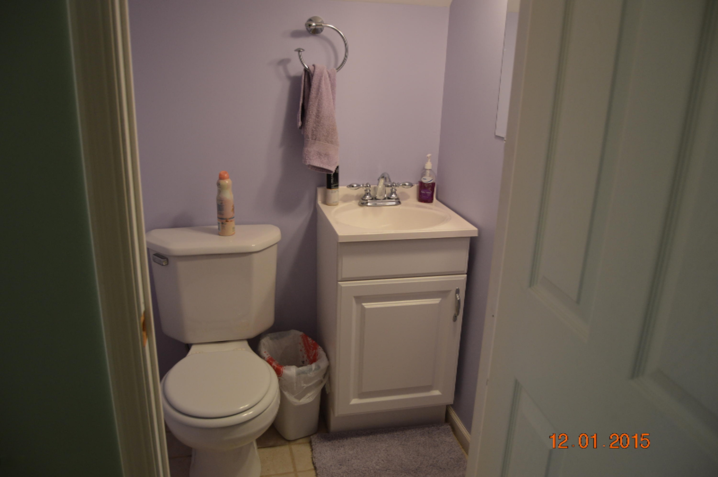 10957 Berridge Road Lakeview, MI 48850 - Photo 19 of 25 DSC_0053