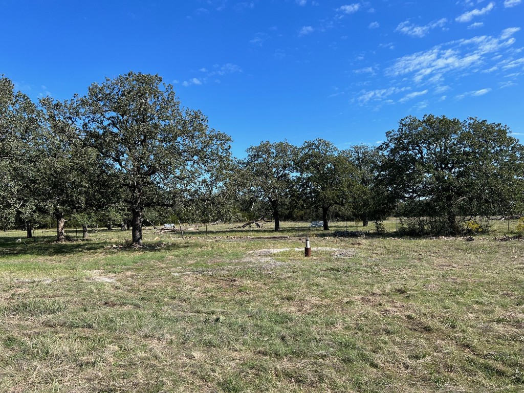 111 Chris Lane Florence, TX 76527 - Photo 18 of 24 a swimming pool with trees in the background