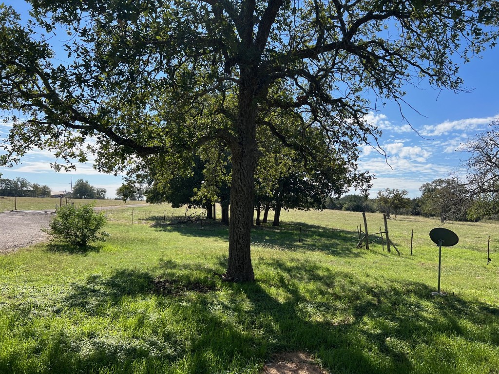 111 Chris Lane Florence, TX 76527 - Photo 19 of 24 a view of yard with tree