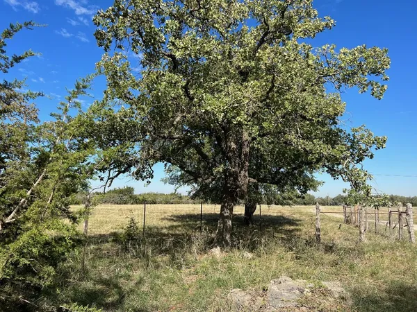 a view of yard with green space