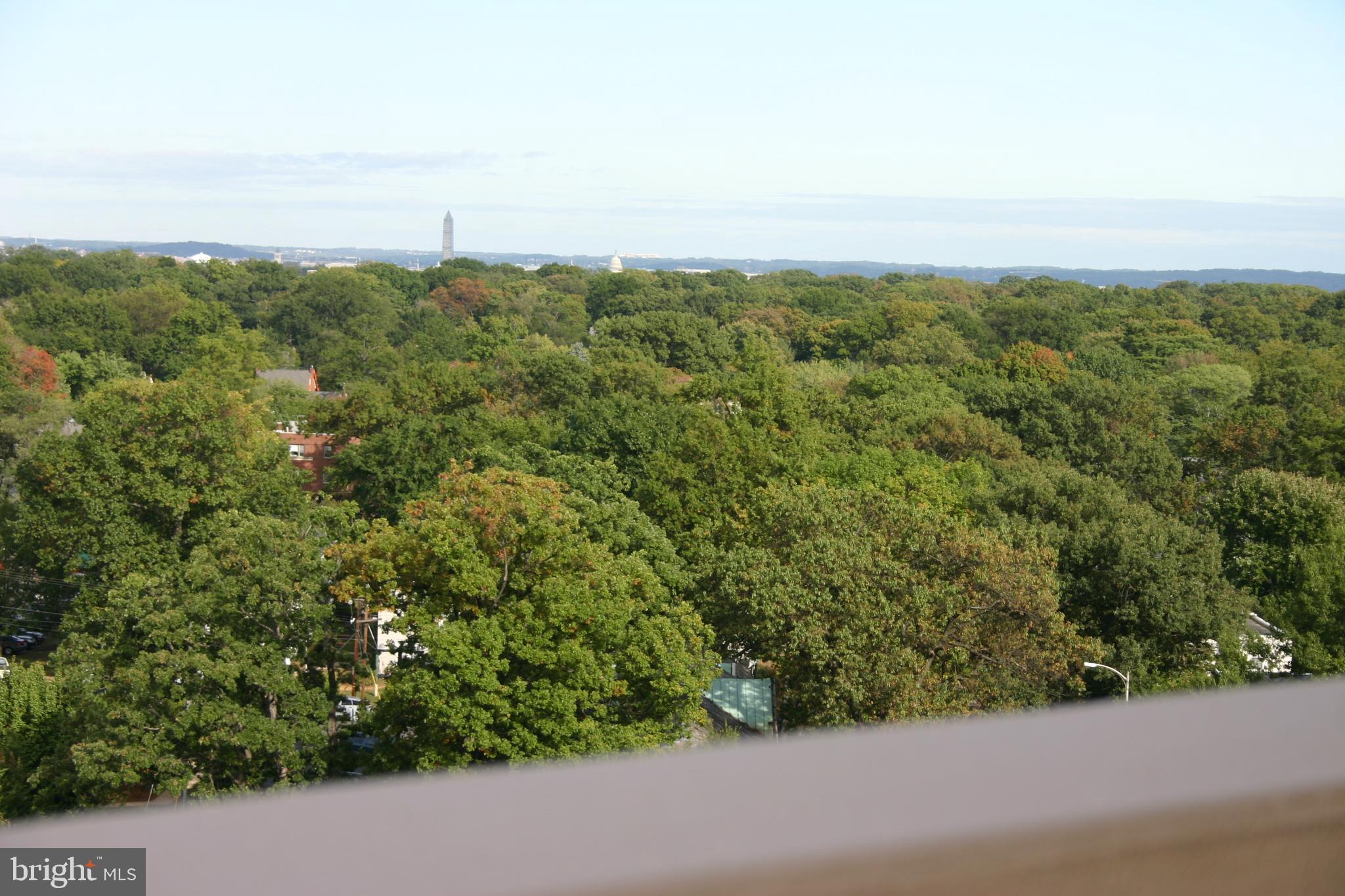 4141 North Henderson Road, Unit 1019 Arlington, VA 22203 - Photo 20 of 27 Lush green canopy under a clear sky.