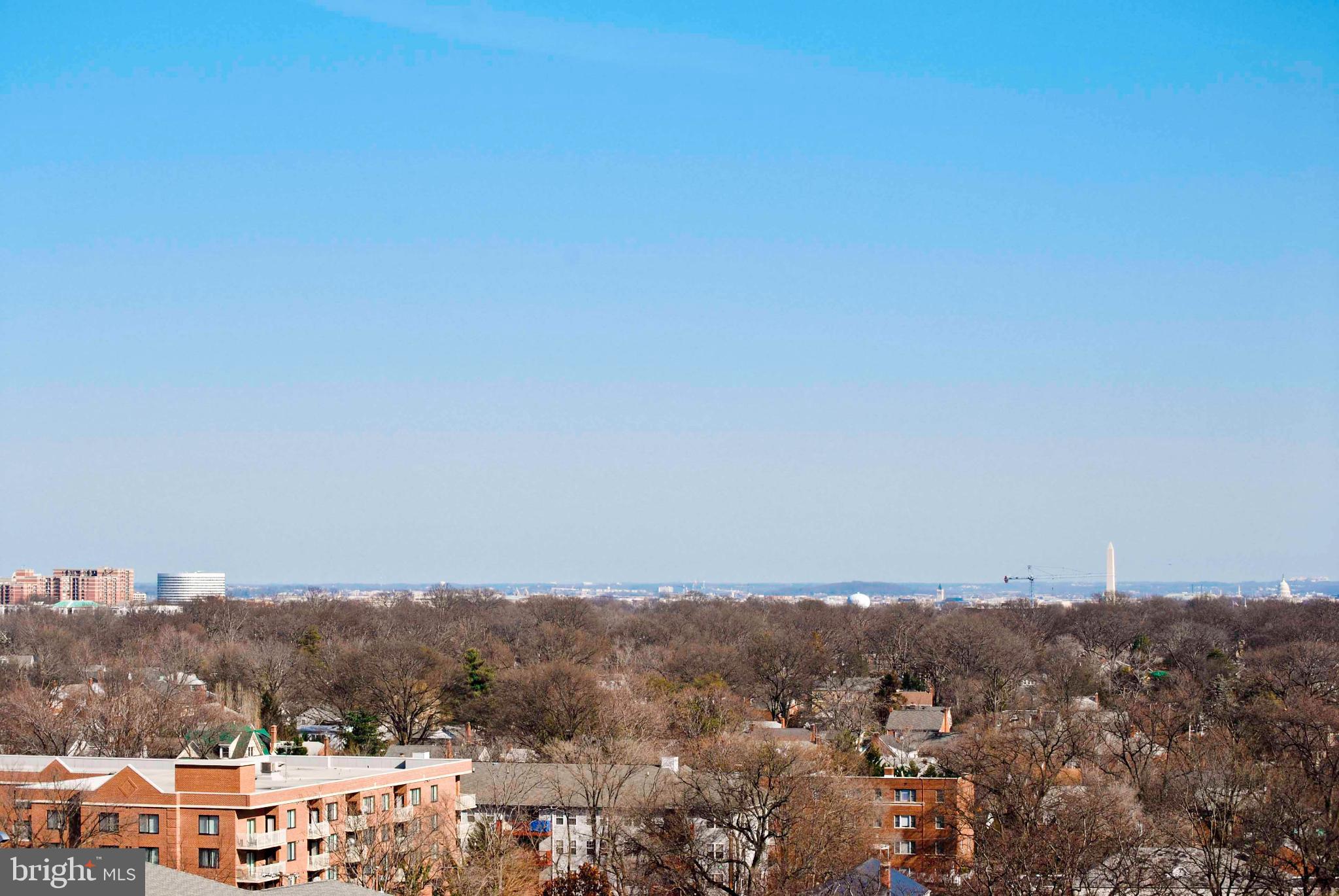 4141 North Henderson Road, Unit 1019 Arlington, VA 22203 - Photo 26 of 27 Vast skyline meets serene treetops.