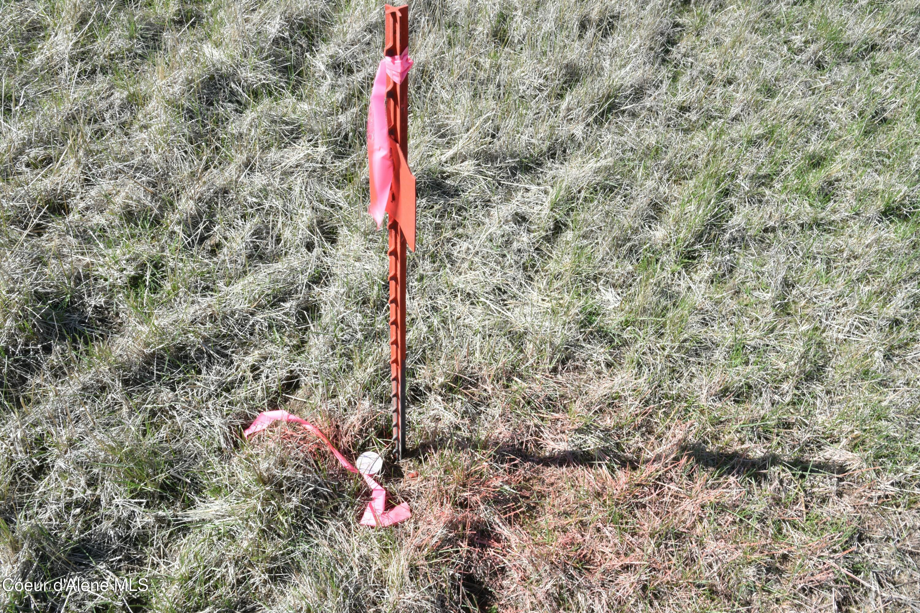 Lot 1 Mundt Road Plummer, ID 83851 - Photo 9 of 9 tempImagezqINyO