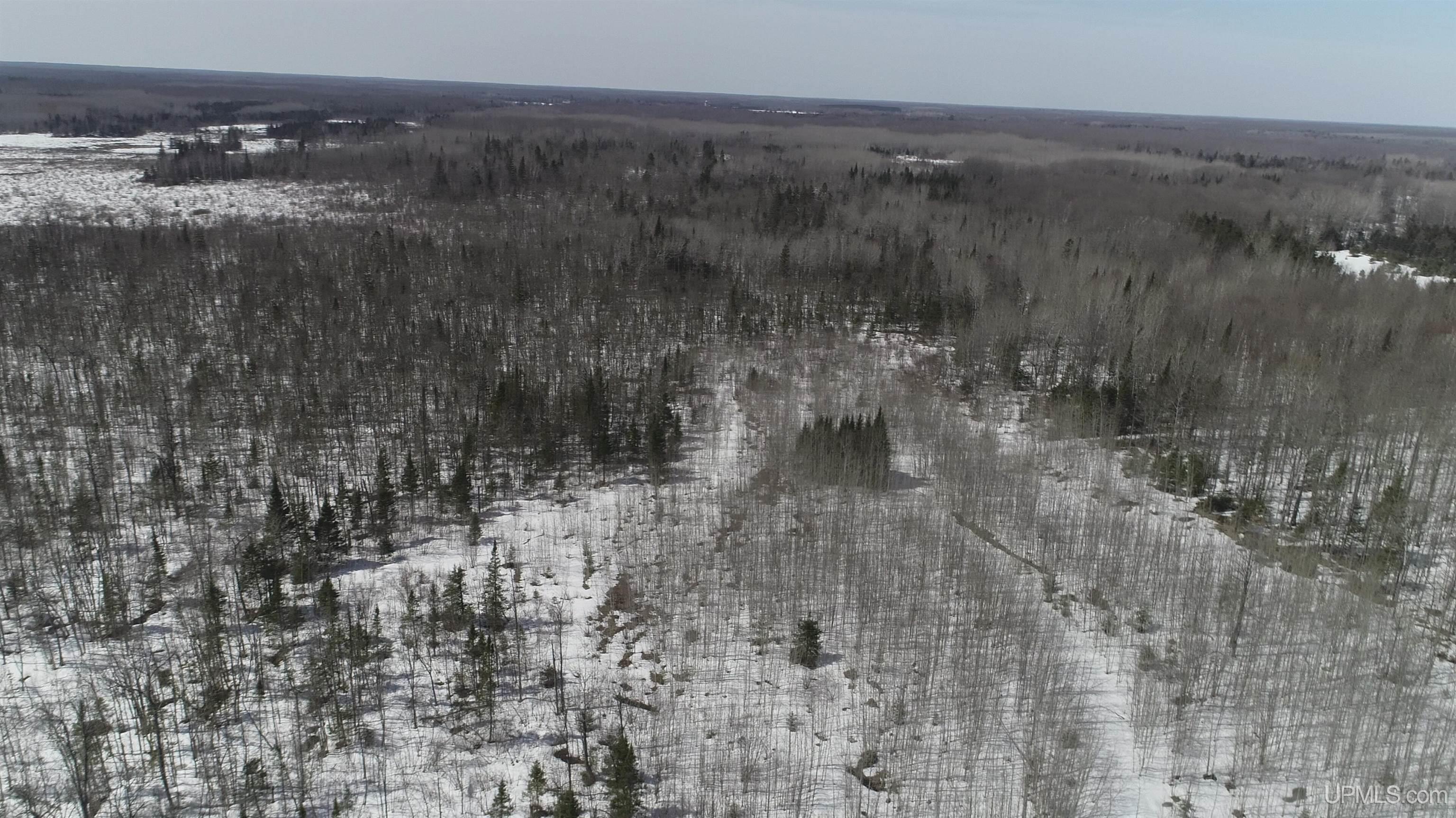 V25 Rd Trenary Mi 49891 Road Rapid River, MI 49878 - Photo 14 of 28