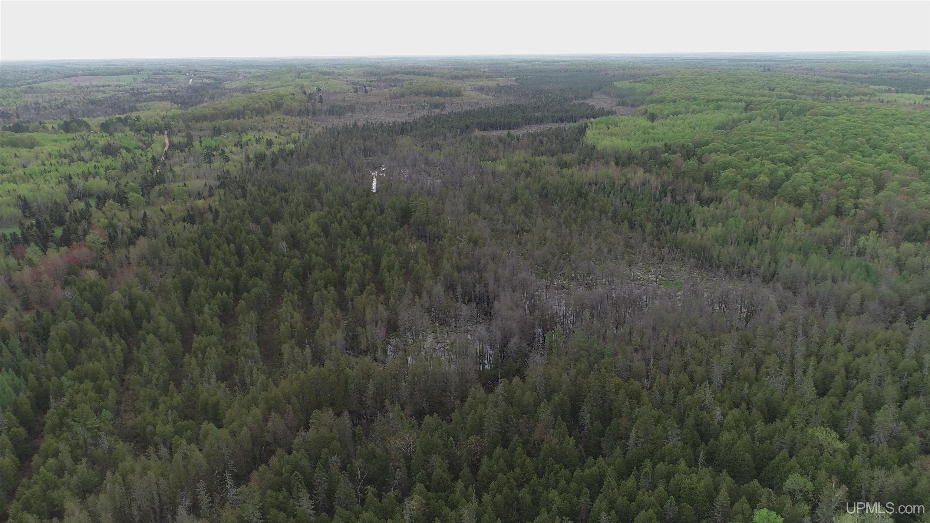 9 Rd Foster City Mi 49834 Road Felch, MI 49831 - Photo 23 of 32