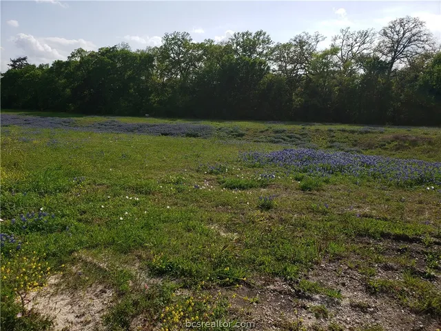 $75,000 | 3903 Counsil Lane, Brenham, TX 77833