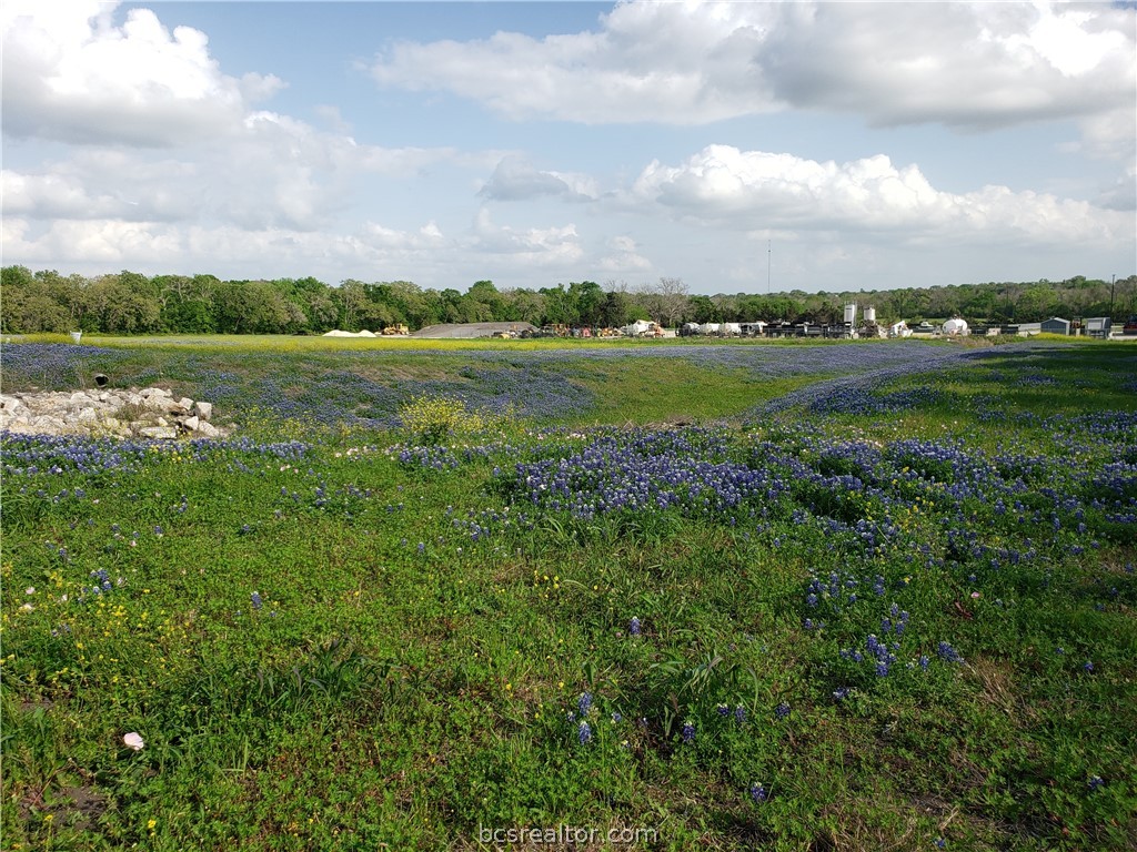 3903 Counsil Lane Brenham, TX 77833 - Photo 3 of 7
