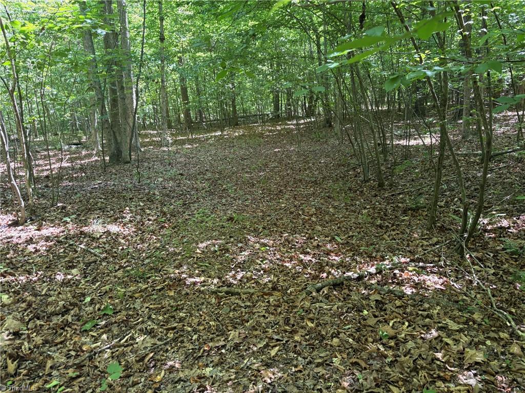 0 Witty Road Summerfield, NC 27358 - Photo 16 of 21