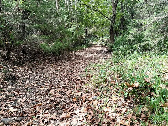 $425,000 | 0 Swift Road, Henley, MO 65040