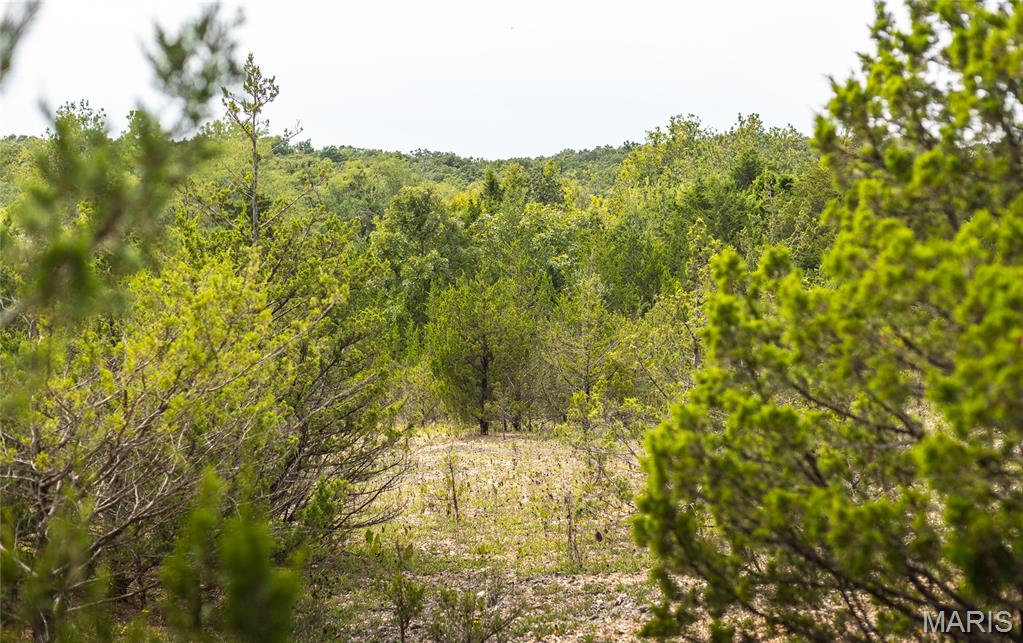 0 Swift Road Henley, MO 65040 - Photo 12 of 39