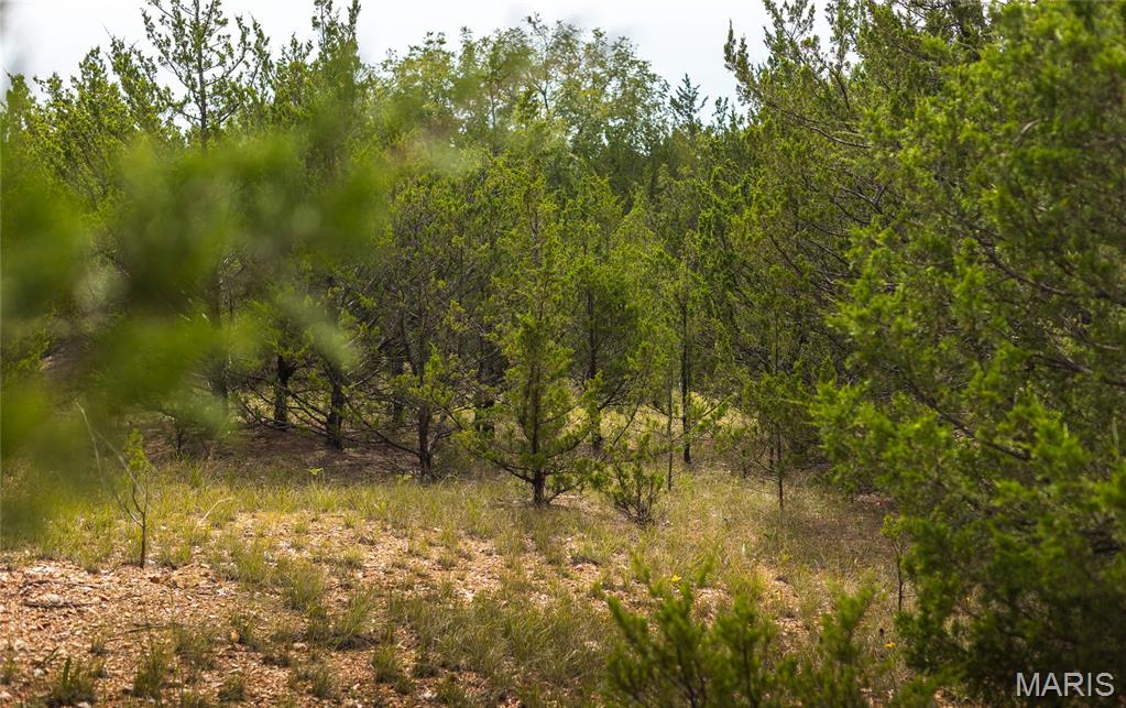 0 Swift Road Henley, MO 65040 - Photo 13 of 39