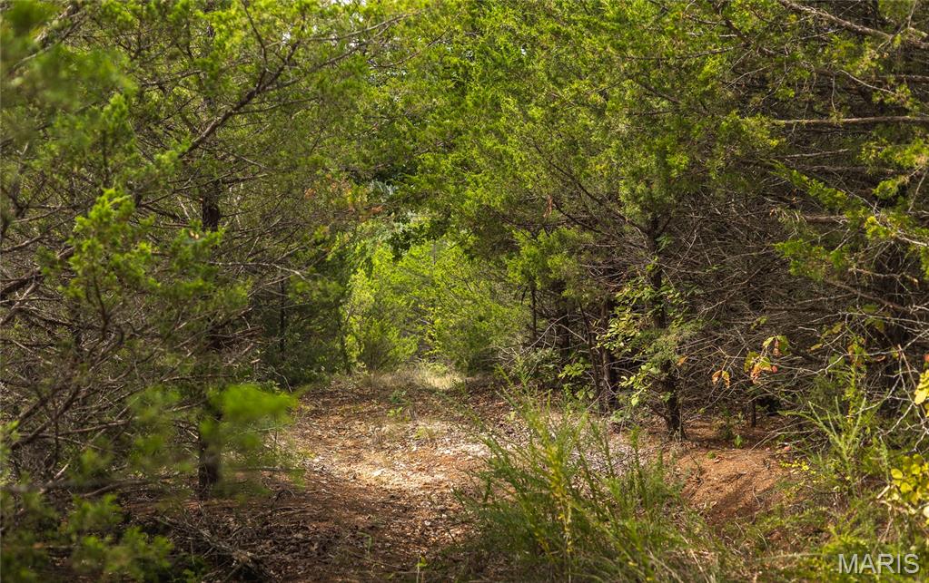 0 Swift Road Henley, MO 65040 - Photo 14 of 39