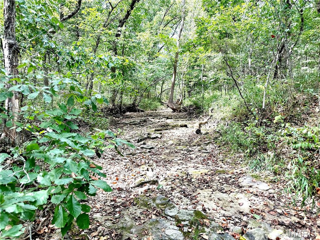 0 Swift Road Henley, MO 65040 - Photo 15 of 39