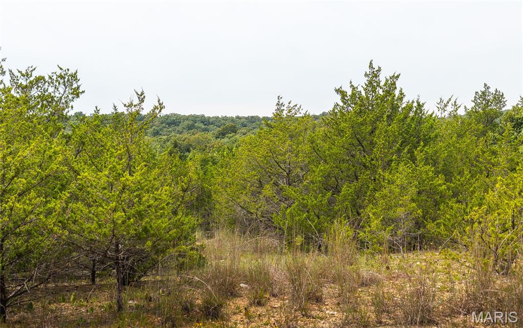 0 Swift Road Henley, MO 65040 - Photo 36 of 39