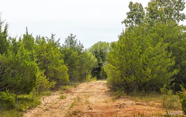 $425,000 | 0 Swift Road, Henley, MO 65040