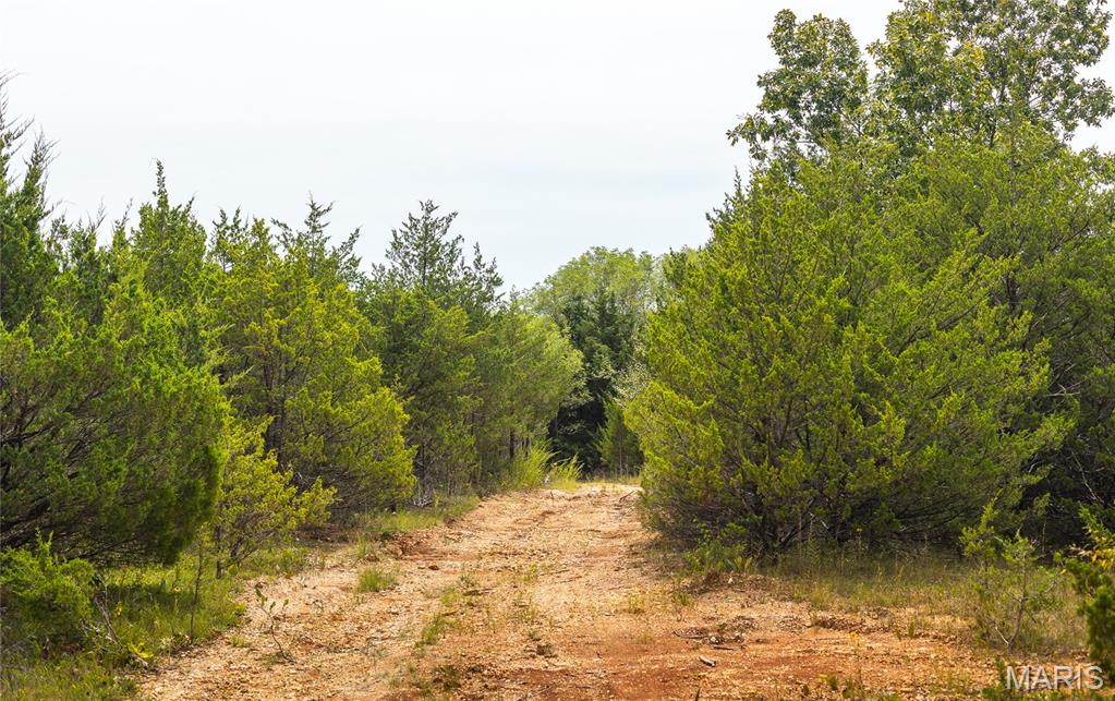 0 Swift Road Henley, MO 65040 - Photo 37 of 39