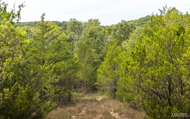 $425,000 | 0 Swift Road, Henley, MO 65040