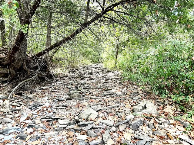 $425,000 | 0 Swift Road, Henley, MO 65040